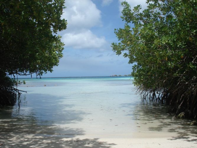 Beach Hopping El Tours Aruba Island Tours Airport Transfers